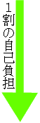 P̎ȕS